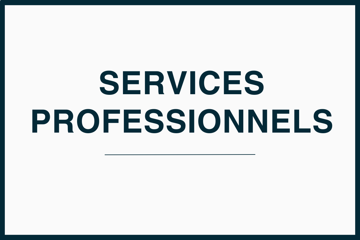 Services professionnels