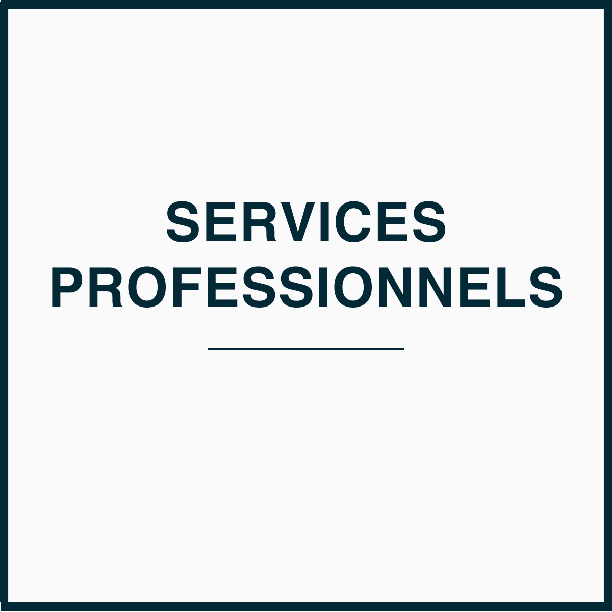 Services professionnels