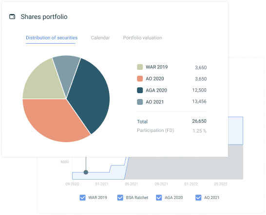 example of share portfolio